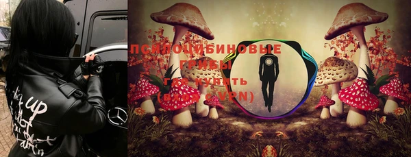 ешки Вязьма