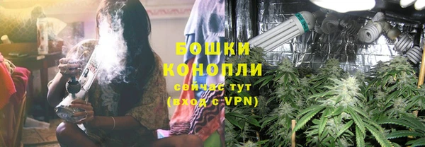 дживик Вяземский