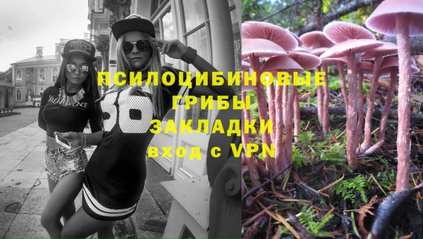 дживик Вяземский