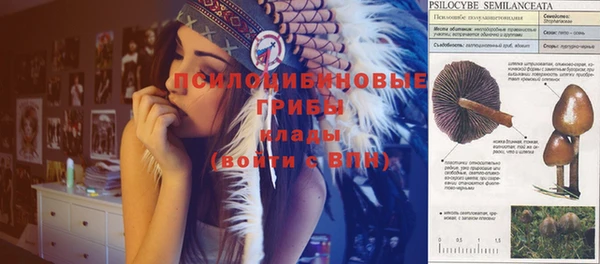 ешки Вязьма