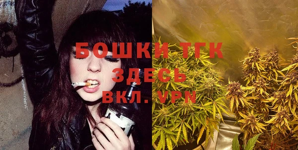 ешки Вязьма