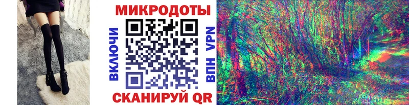 Купить где  Кашин  Псилоцибиновые грибы мицелий 