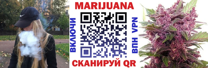 Купить Кашин Бошки Шишки планчик